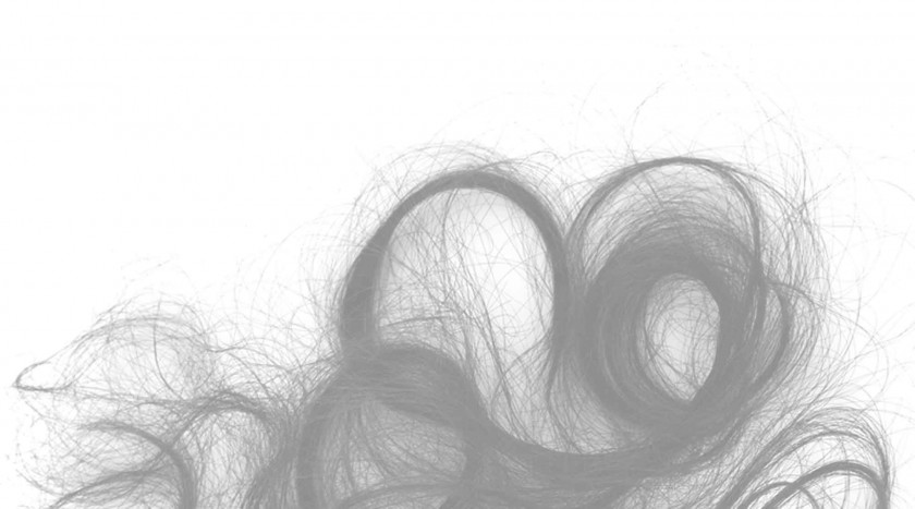 Die Haarschublade, von Emmanuelle Pagano